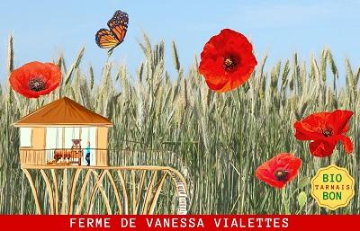 Graines de Chia Bio - Ferme de Vanessa Vialettes